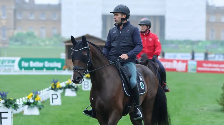 Luc Château a montré la piste de Blenheim à Cocorico de l’Ébat ce soir