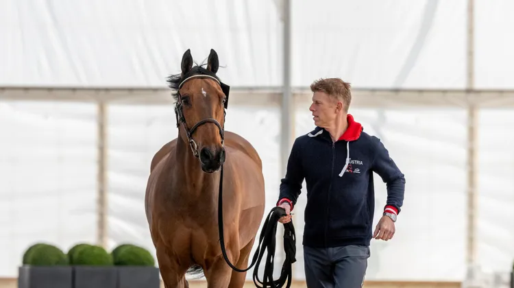 Max Kühner est ici à la visite vétérinaire de la finale Longines de la Coupe du monde de Bâle avec Up Too Jacco Blue