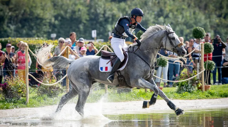 Maxime Livio et Api du Libaire aux championnats d'Europe d'Avenches en septembre dernier
