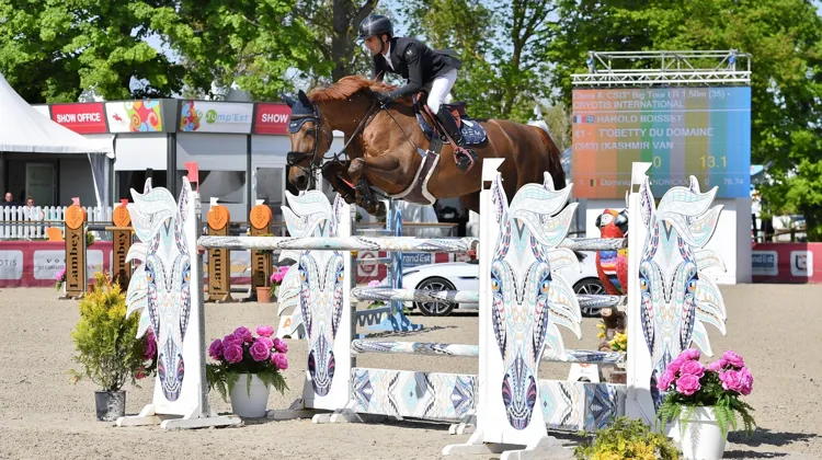 Harold Boisset et T'Obetty du Domaine sur la piste de Nancy aujourd'hui