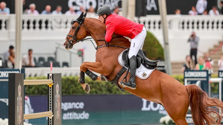 À Mannheim, André Thieme et la fantastique DSP Chakaria confirment leur talent