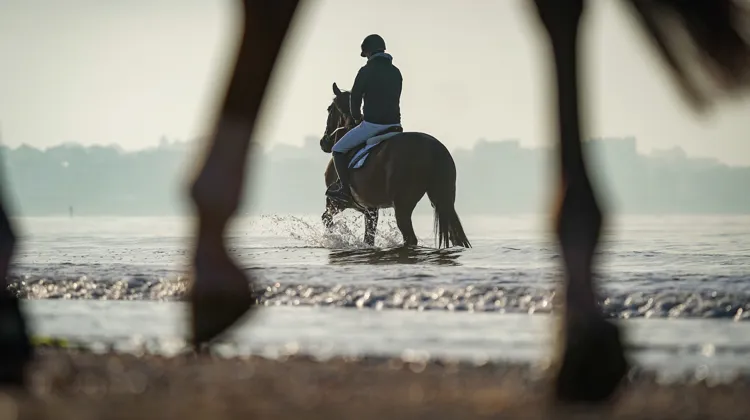 La Baule et ses inégalables bols d’air matinaux sur la plage.