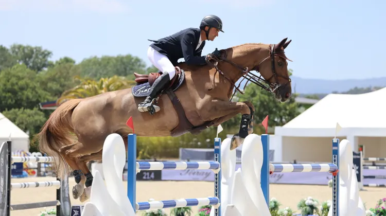 François-Xavier Boudant et Brazyl du Mezel s'adjugent le Grand Prix CSI 3* de Grimaud