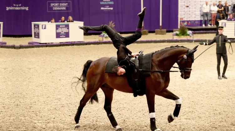 Lambert Leclezio a encore fait des merveilles sur Estado*IFCE, longé par l’écuyer Loïc Devedu.