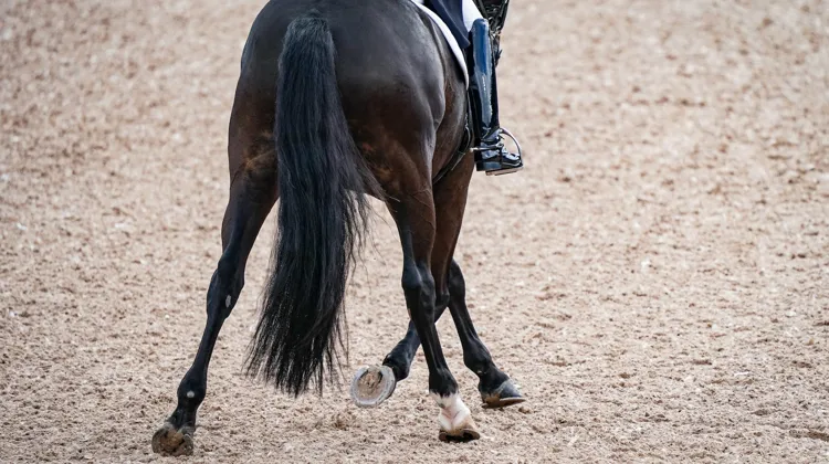 Naturellement, toutes les disciplines sont concernées.