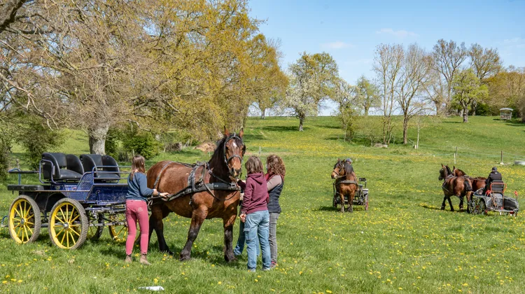 Séance printanière d’entraînement aux Moutiers-en-Auge, dans le Calvados.