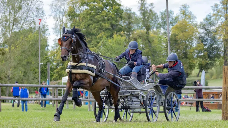 Marion Vignaud et First Quality ont signant le meilleur temps dans cinq des huit obstacles