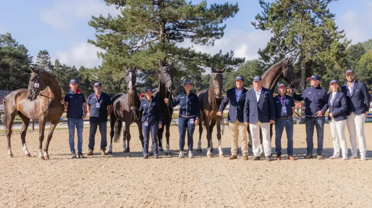 Hier, tous les chevaux tricolores ont été déclarés aptes à prendre part à la compétition.