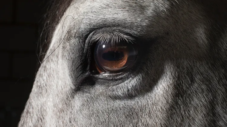 Deux autres rapports seront présentés en avril et novembre 2023.