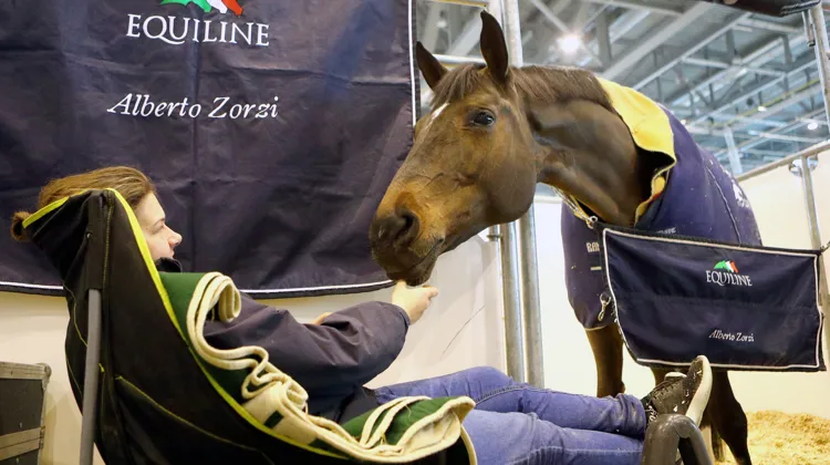 “La véritable équitation comprend la façon de s’entraîner et de concourir avec un cheval de manière à lui offrir une expérience positive optimale”, résume le président de l’EEF.