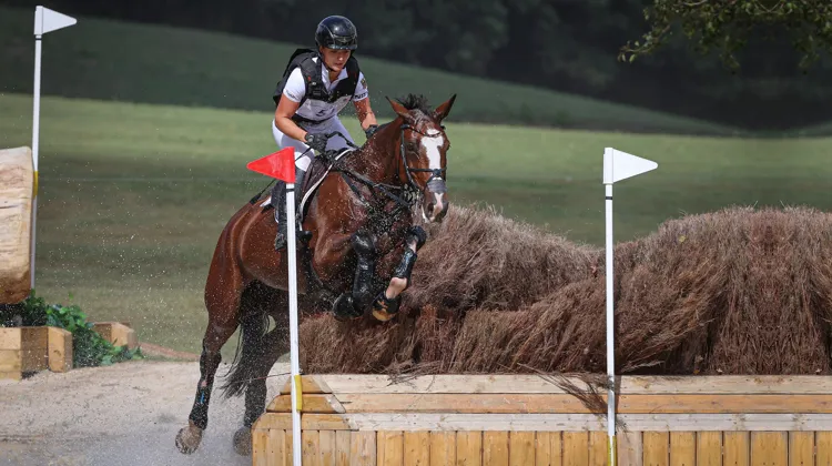 Meilleure jument Selle Français de l’année 2022 en concours complet, Amande de B’Neville, championne olympique et vice-championne du monde avec l’Allemande Julia Krajewski a tout pour devenir une très grande génitrice.