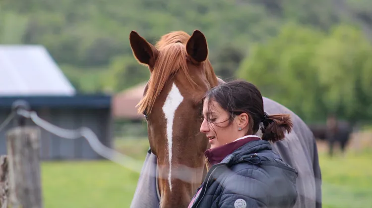 Bien qu’elle demeure facultative, une formation a bel et bien été mise en place par la FFE.