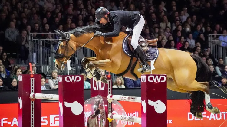 Cédric Hurel et Fantasio Floreval Z à la cinquantième édition du Jumping international de Bordeaux