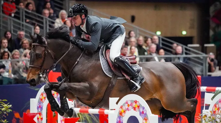 Julien Épaillard et Donatello d'Auge sur la piste du Saut Hermès
