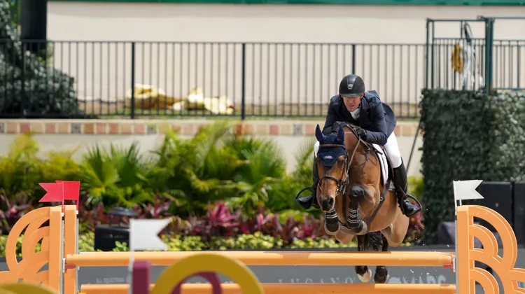 Trois épreuves internationales cette année et trois victoires pour McLain Ward et Catoki.