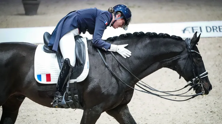 L’automne dernier, Morgan Barbançon Mestre et Sir Donnerhall II se sont notamment classés sixièmes de l’étape lyonnaise de la Coupe du monde.