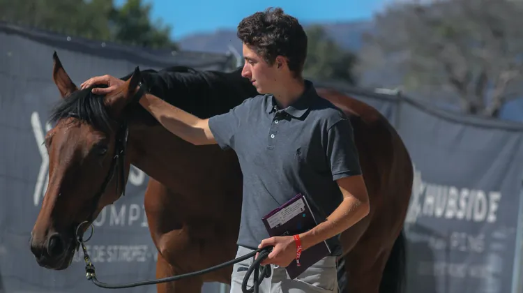 William Ligier de la Prade et sa jument Celouvo