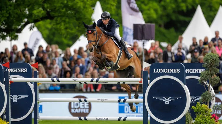 Gerrit Nieberg et Ben ont triomphé dans le Grand Prix du CSI 5* de Hambourg cet après-midi