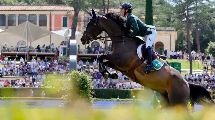 Ne vous fiez pas au rictus de Michael Pender. L’Irlandais a vécu une journée de rêve en selle sur l’extraordinaire HHS Calais.