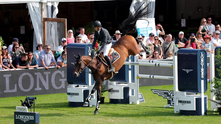 Pas une faute, pas un sursis pour Harrie Smolders et Uricas van de Kattevennen cet après-midi à Saint-Gall.
