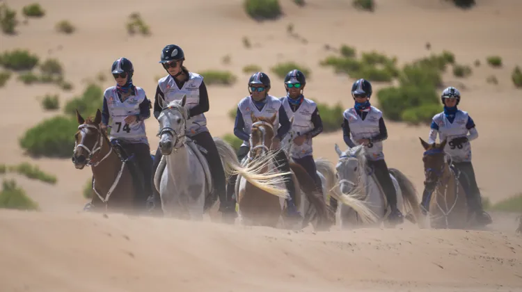 L’équipe de France a décroché le titre de championne du monde d’endurance après la disqualification pour dopage de l’un des couples de l’équipe du Bahreïn.