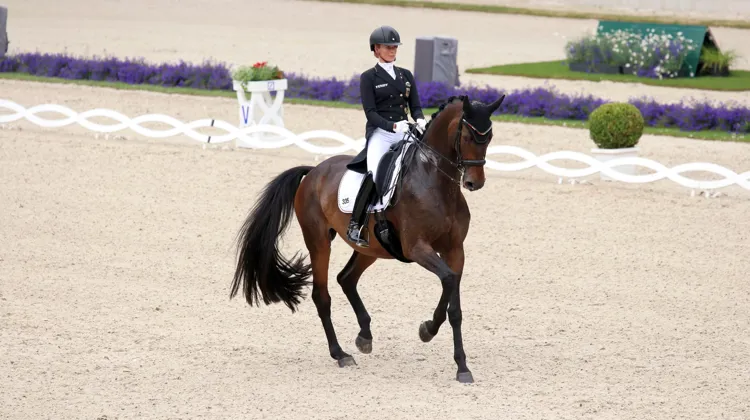 Jessica von Bredow-Werndl et Dalera BB ont été souveraines dans le Grand Prix du CDIO 5* d'Aix