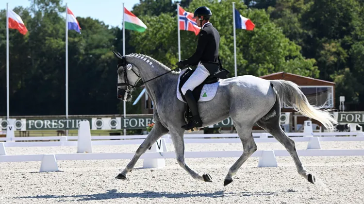 Maxime Livio et son hongre gris Api du Libaire (SF, Fusain du Defey x Trésor de Cheux) ont présenté une reprise notée à 72,94%, soit 27,1 points de pénalité. 
