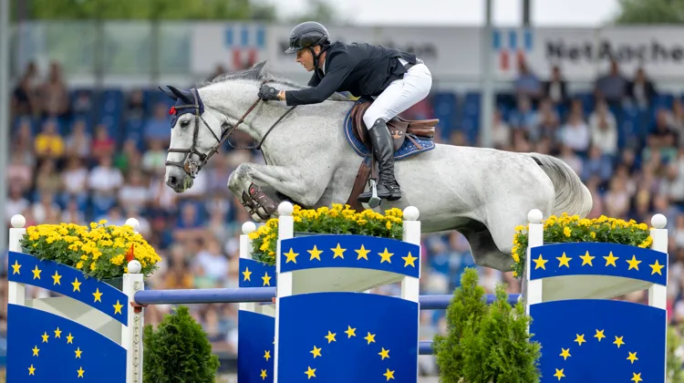 David Will était présent à Aix-la-Chapelle avec son meilleur cheval du moment, My Prins van Dorperheide