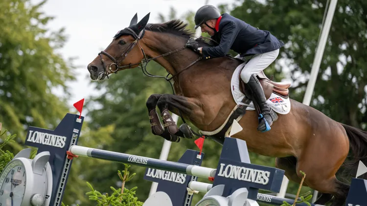 À presque soixante-huit ans, John Whitaker a participé à la victoire britannique dans la Coupe des nations de Hickstead
