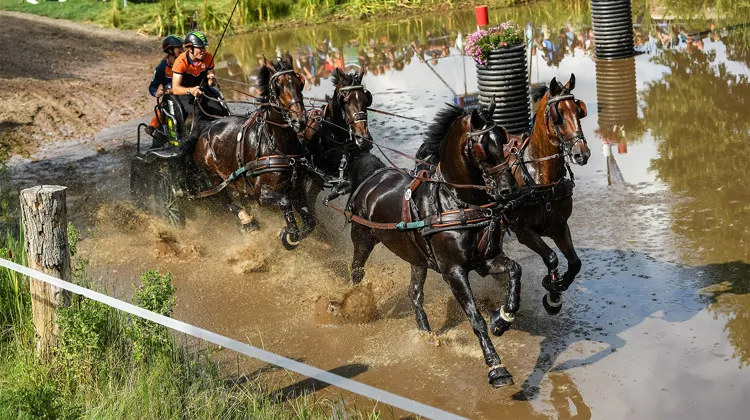 Deuxième à l’issue du test de dressage, le Néerlandais Bram Chandon s'est saisi de la tête du classement après le marathon.