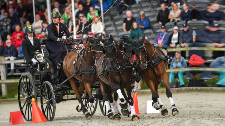 Bram Chardon a fêté son troisième sacre européen avec Generaal, Idool N, James Bond et Juventus.