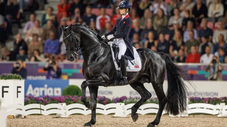 Emmené par Glamourdale, ici à Herning l'an passé, le KWPN est le stud-book roi des Européens de Riesenbeck