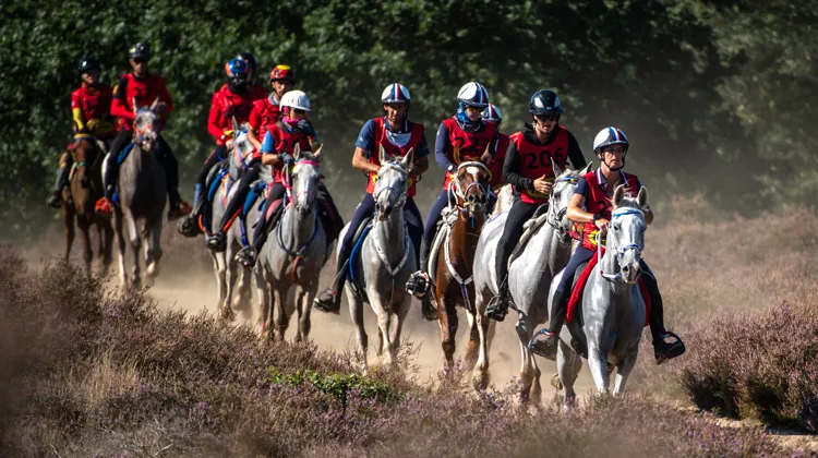 L’équipe de France a réussi un très beau travail collectif à Ermelo.