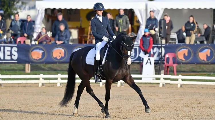 Fiadora*Applicat-Prazan et Maxime Collard.