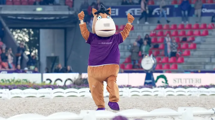 L’an passé, les Mondiaux pluridisciplinaires de Herning ont été organisés sans accroc, mais dans un stade de onze mille places qui a sonné creux, sauf lors des deux dernières épreuves de dressage...