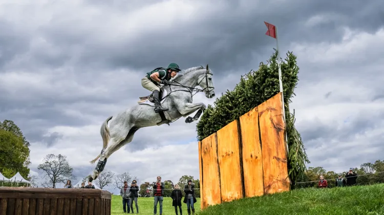 Pénalisés seulement de trois secondes de temps dépassé lors du cross, Austin O’Connor et Colorado Blue ont signé le seul sans-faute hier à l’hippique.