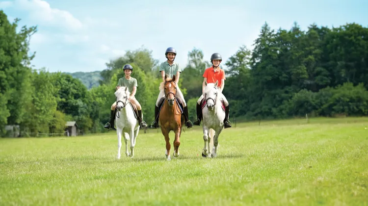 Sont concernés l’enseignement de l’équitation, l’accès aux infrastructures sportives dédiées à cette pratique, les animations et activités de démonstration aux fins de découverte et la familiarisation à l’environnement équestre.