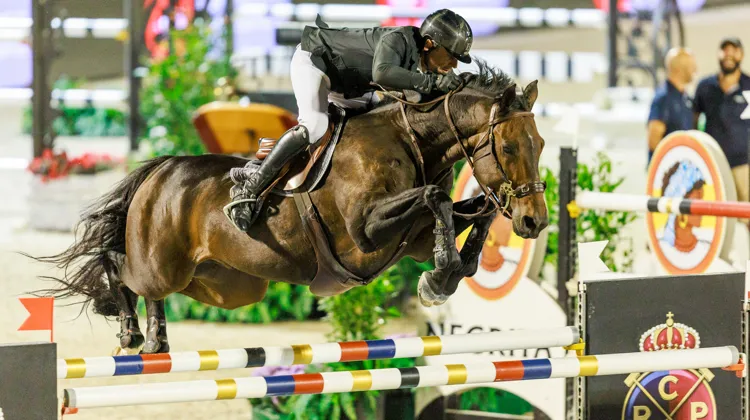 Donatello d'Auge est le meilleur cheval de l'année 2023 selon la WBFSH