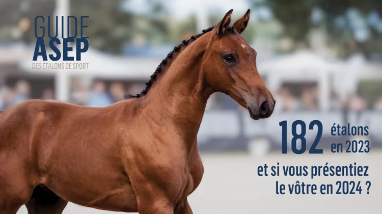 Guide ASEP des étalons de sport 2024: inscrivez votre étalon dès maintenant!