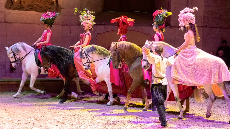 “Désirée”, la nouvelle création du Musée vivant du cheval de Chantilly.