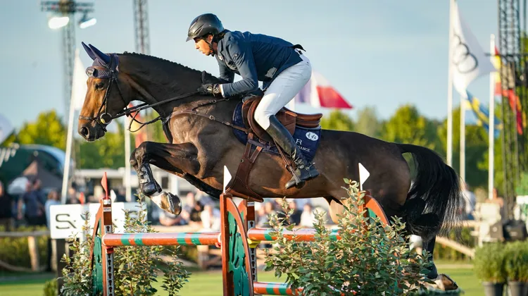 Selon Martin Fuchs, Commissar Pezi est le cheval qui l’a le plus surpris dernièrement.