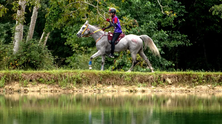 Après avoir été l’hôte des championnats du monde Jeunes en fin d’été, Castelsagrat n’accueillera pas de CEI en 2024.