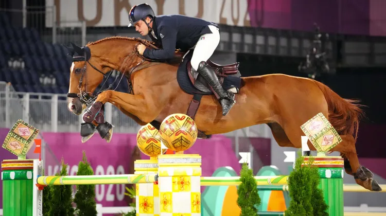 Vingt-sept victoires internationales, dont sept Grands Prix, désormais pour Emanuele Gaudiano et Chalou.