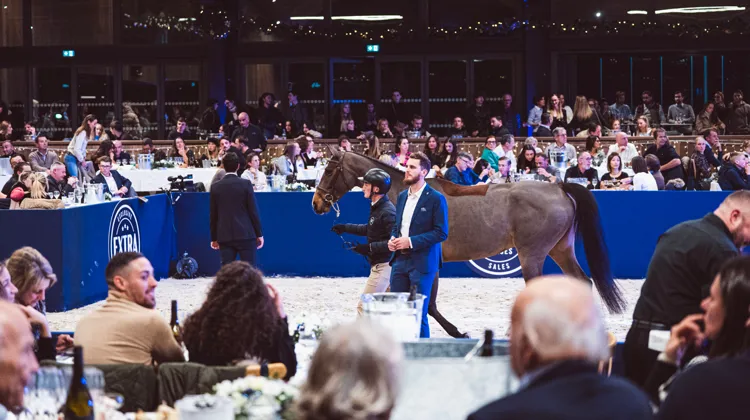 Cinq cent cinquante invités se sont réunis dans le chic manège de Crozet, mercredi dernier.