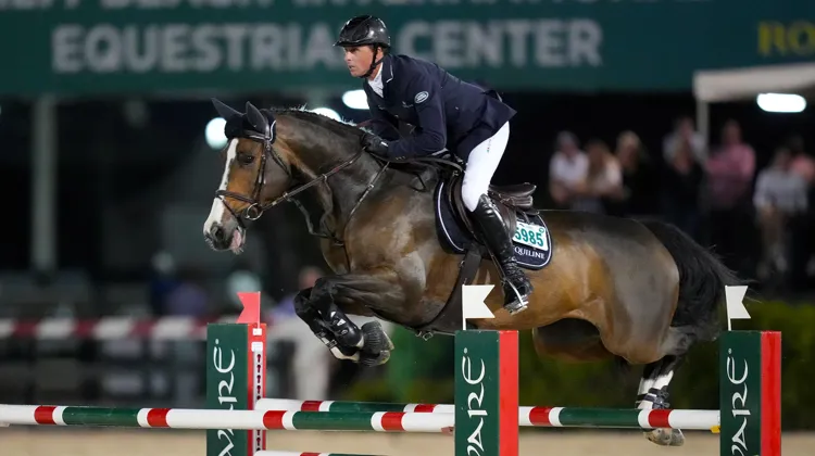 Ici l'hiver dernier à Wellington, en Floride, Ben Maher et Ginger-Blue se sont imposés ce vendredi au CHI-W de Londres.