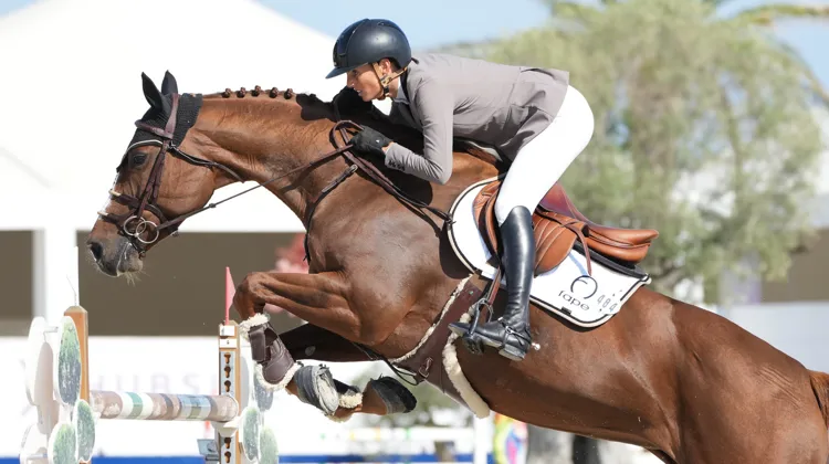 Ici sur la piste de l'Hubside Jumping de Grimaud en octobre, Celine Schoonbroodt - De Azevedo et Déesse des Embruns se sont imposées à Abou Dabi.