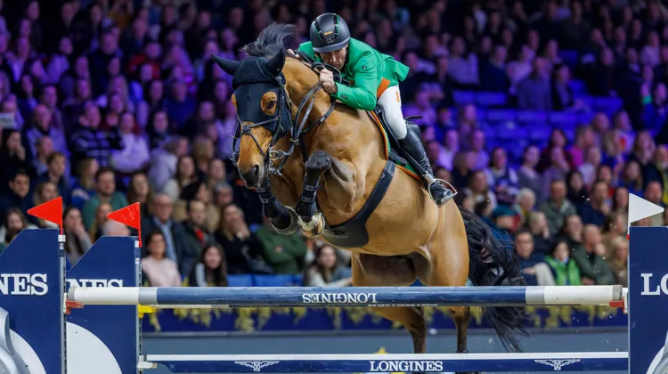 Gerfried Puck et Melody vd Smidshoeve ont été les meilleurs, ce soir à Malines