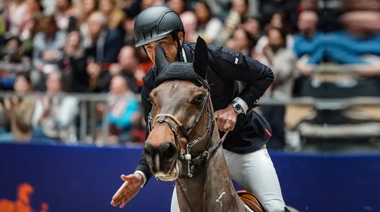 L’an passé, Victor Bettendorf et Mr. Tac avaient brillamment remporté le Grand Prix CSI 5* du Saut Hermès, au Grand Palais Éphémère de Paris.