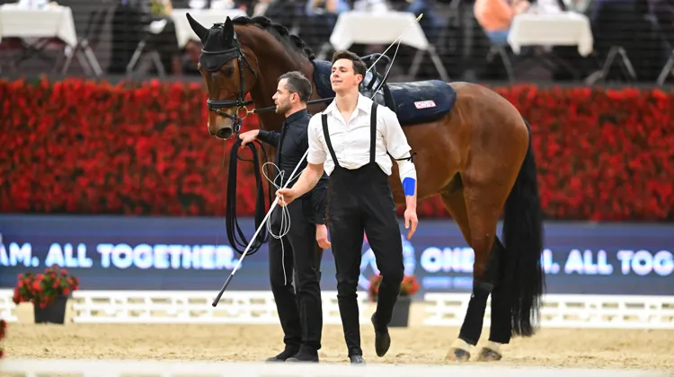Tout n’a pas été parfait pour Théo Gardies et Sir Sensation, longé par Sébastien Langlois, hier à Bâle, mais la victoire reste à leur portée.