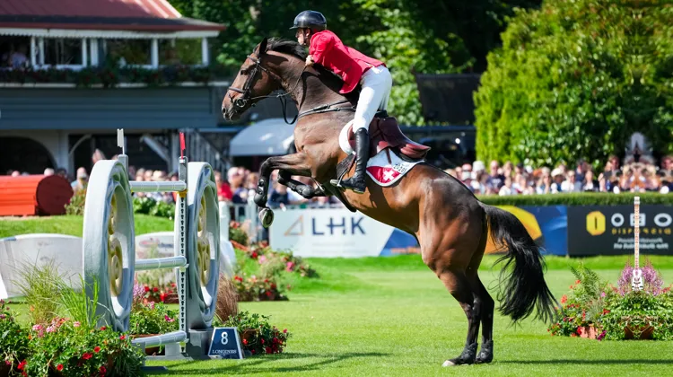Associé au multimédaillé Steve Guerdat, avec lequel il a représenté la Suisse à de nombreuses reprises en Coupes des nations, Vénard de Cerisy est le meilleur produit de l’élevage de Cerisy. Sportfot